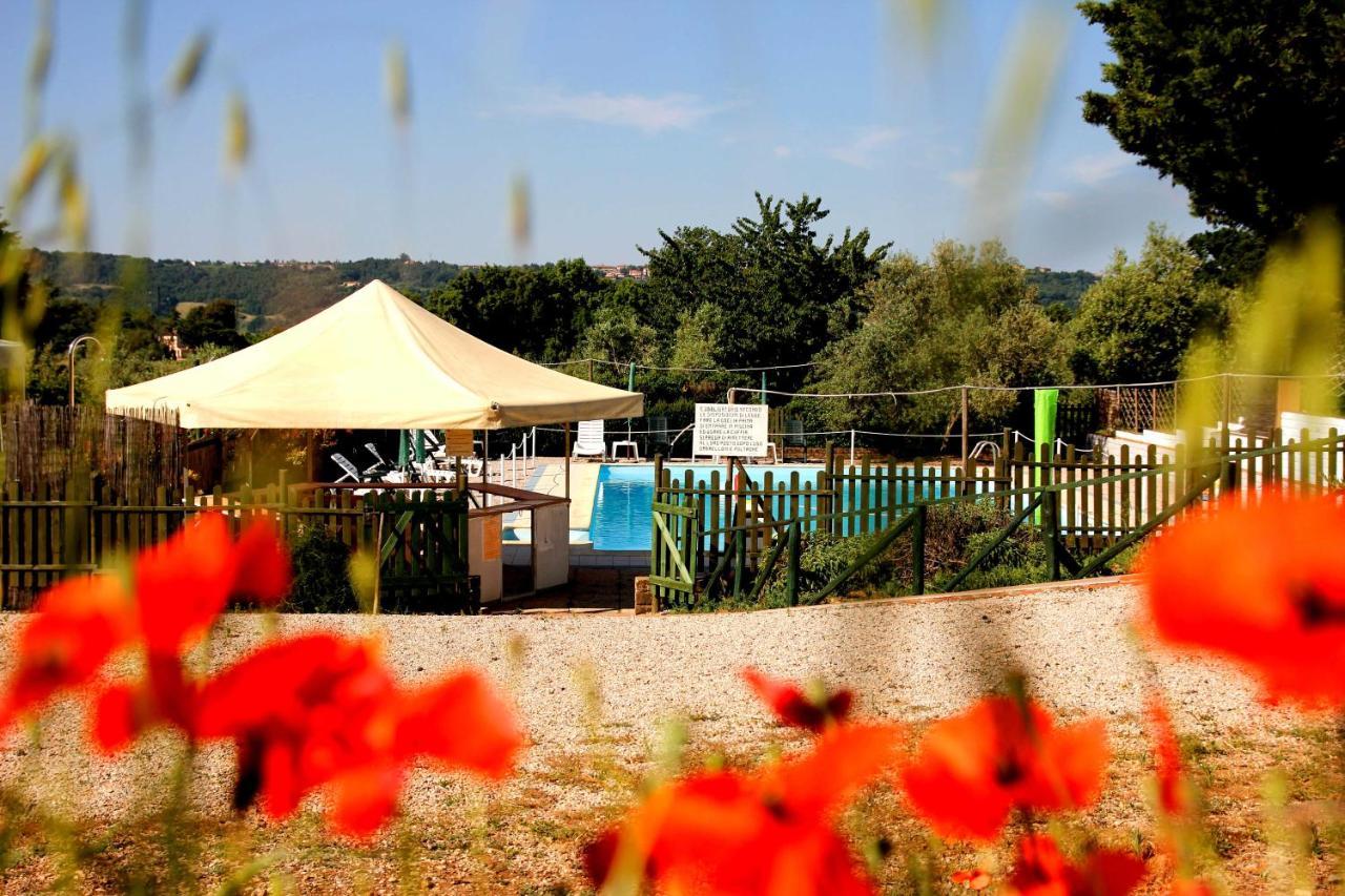 Agriturismo Il Belvedere Country Houses マッサ・マリッティマ エクステリア 写真